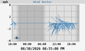 Wind Vector